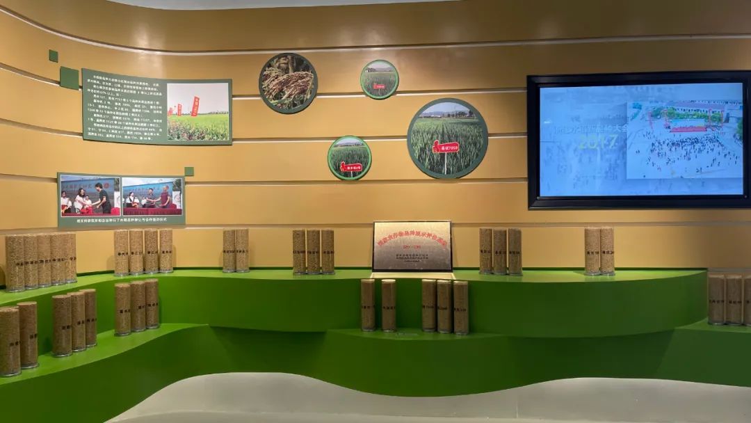 嵊州水稻博物馆 - 图片 3